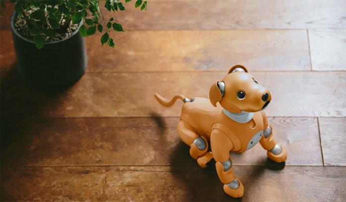 sony-aibo-robot